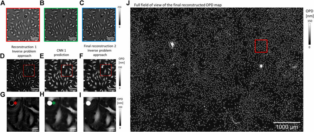 CNN-Based Cell Analysis: From Image to Quantitative Representation 01 img