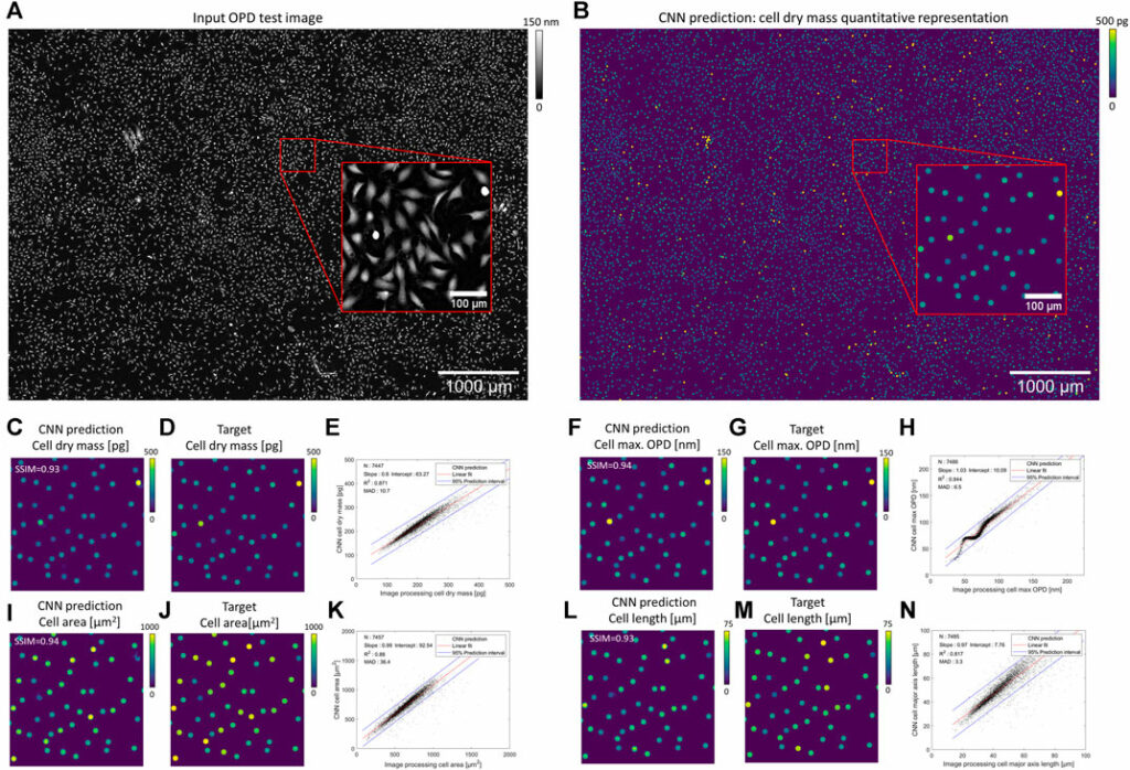 CNN-Based Cell Analysis: From Image to Quantitative Representation 02 img