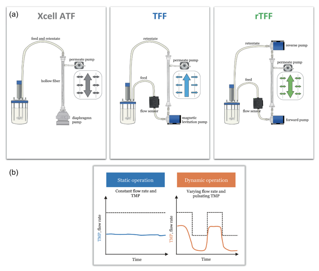 Xcell ATF TFF rTFF