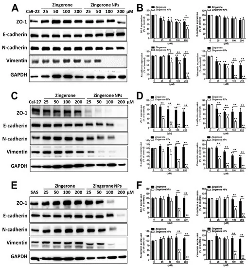 biomedicines 7