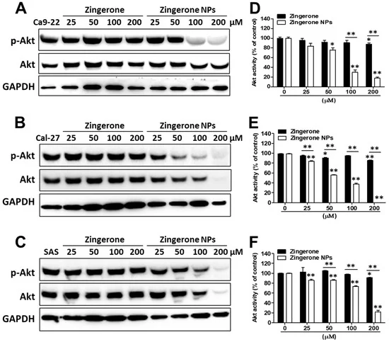 biomedicines fig5